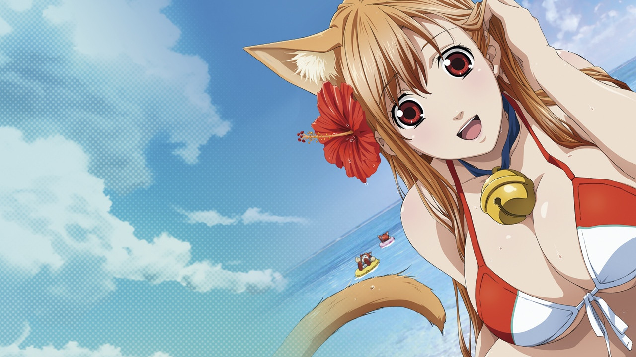 Cat Planet Cuties