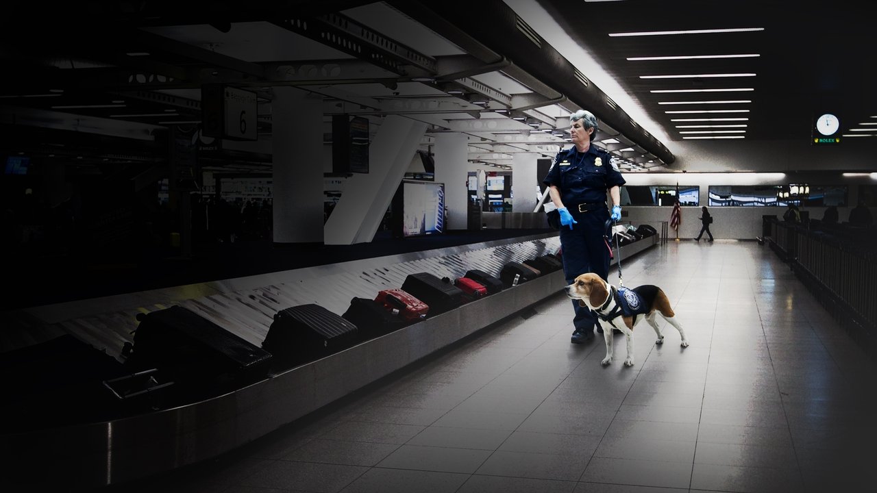 To Catch a Smuggler