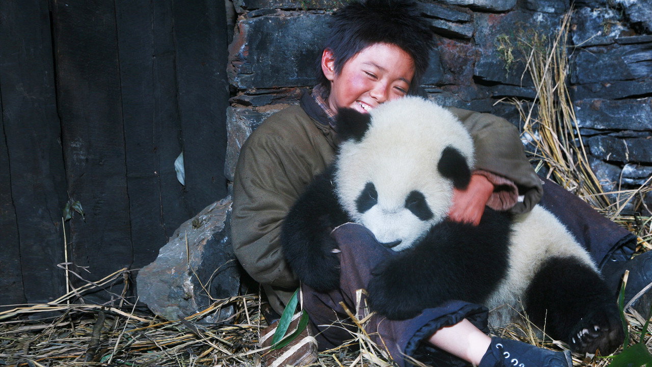 Xiong mao hui jia lu