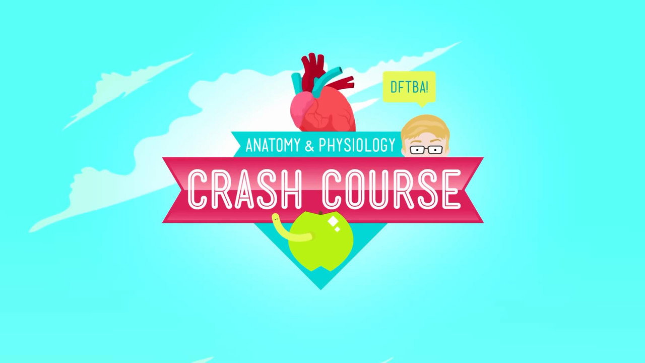 Crash Course: Anatomy & Physiology