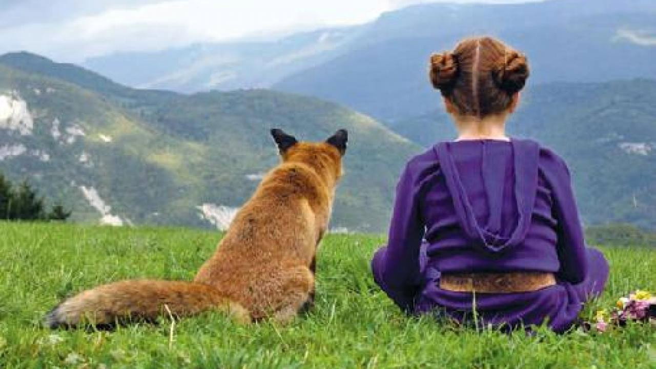 Le renard et l'enfant