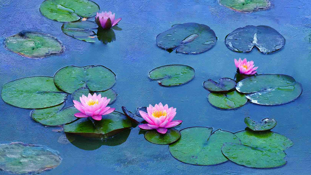 Le ninfee di Monet - Un incantesimo di acqua e luce