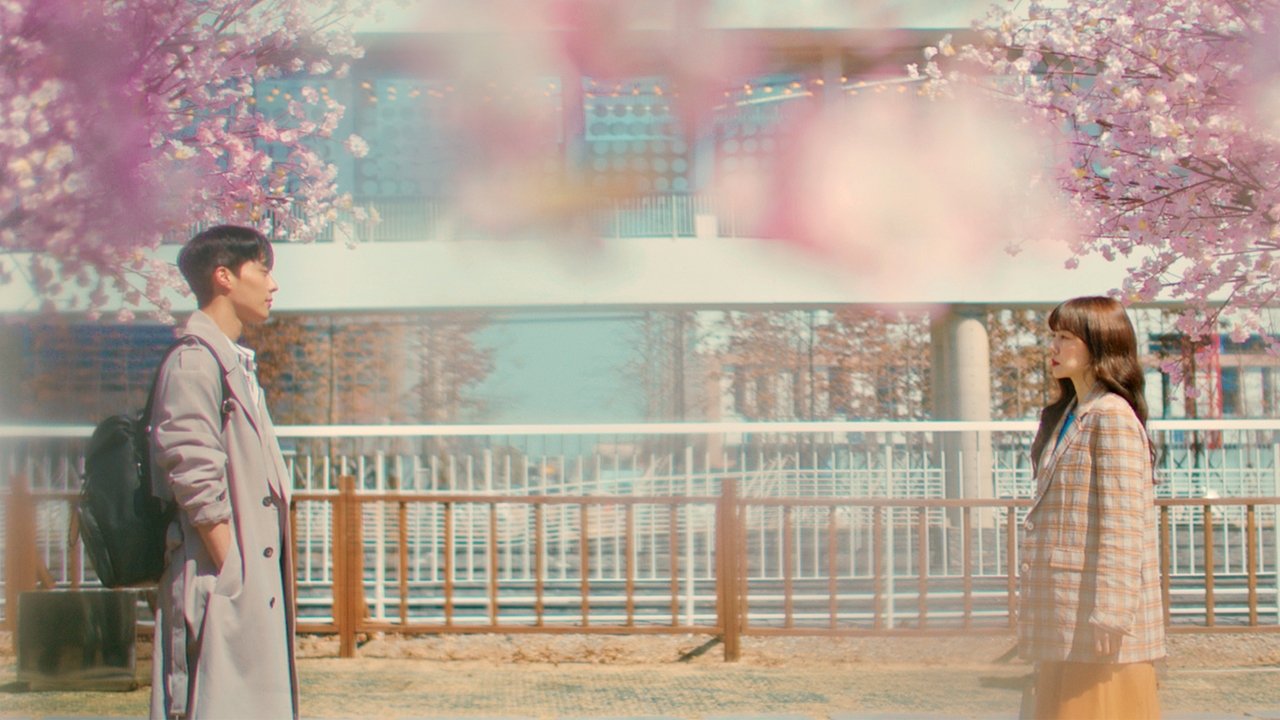 Geomsaekeoreul Ibryeokhaseyo: WWW