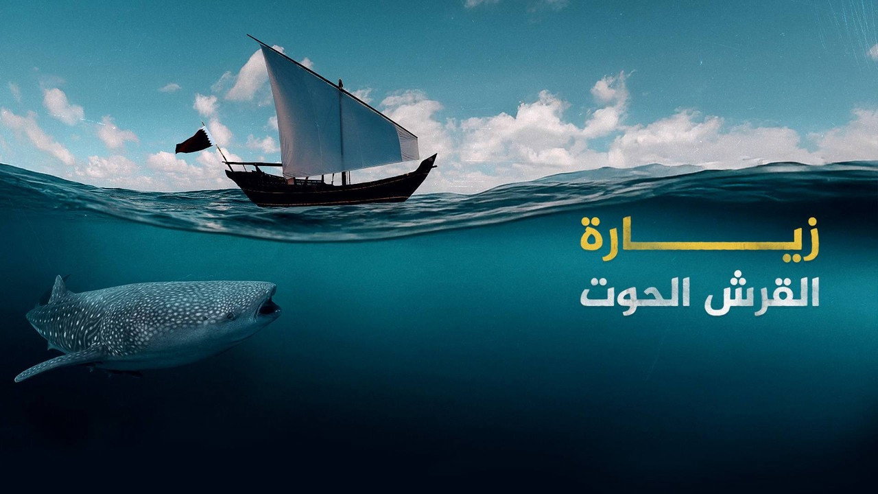 Journey of a Whale Shark