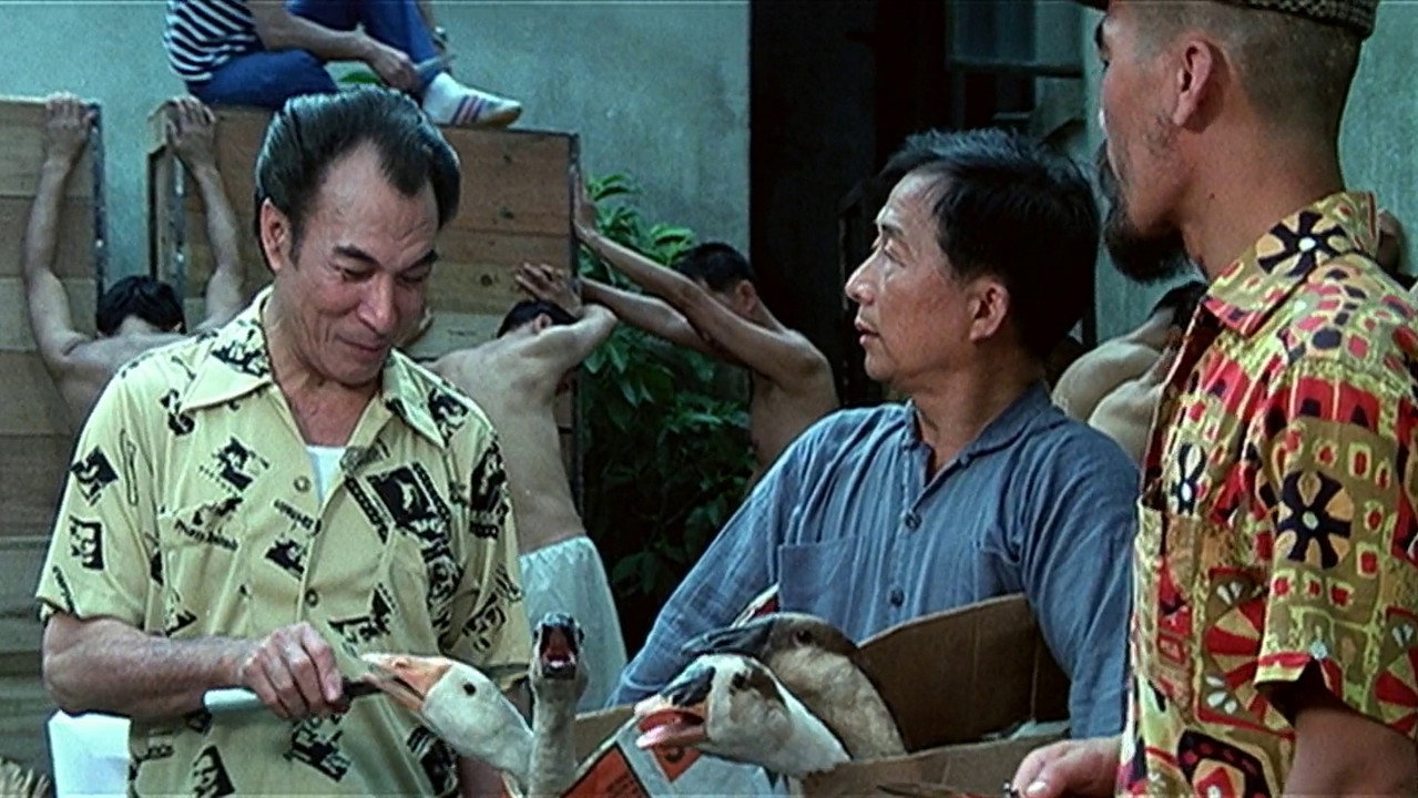 Ban jin ba liang