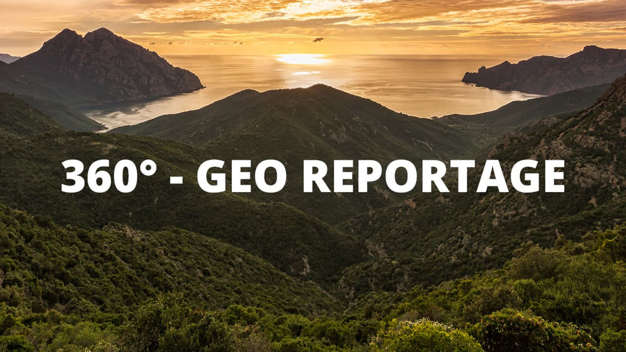 arte 360° Reportage