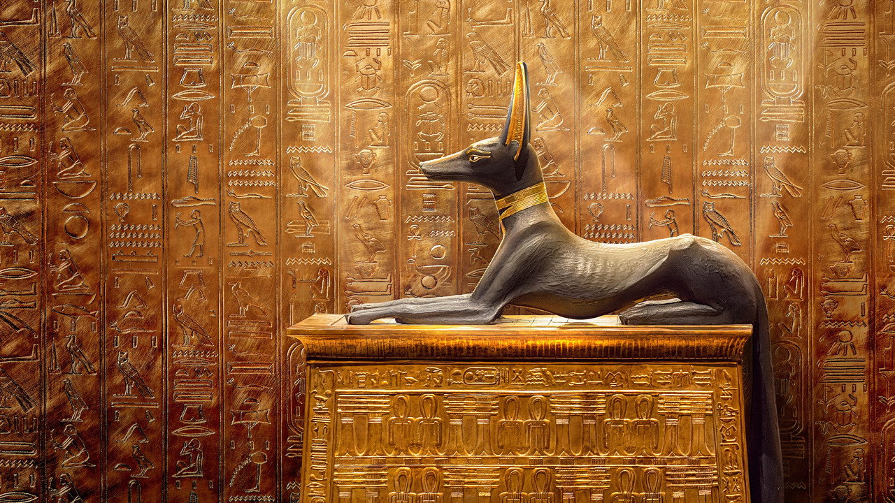 Tut: A Century of Secrets
