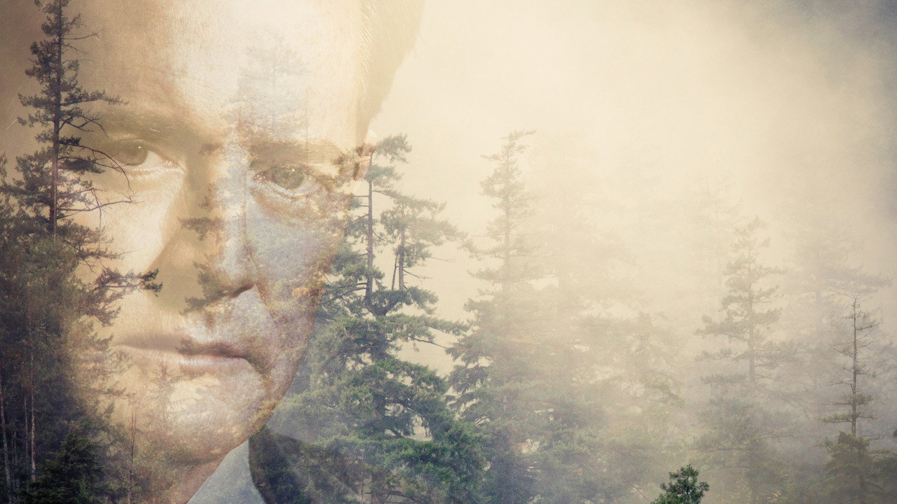 Twin Peaks