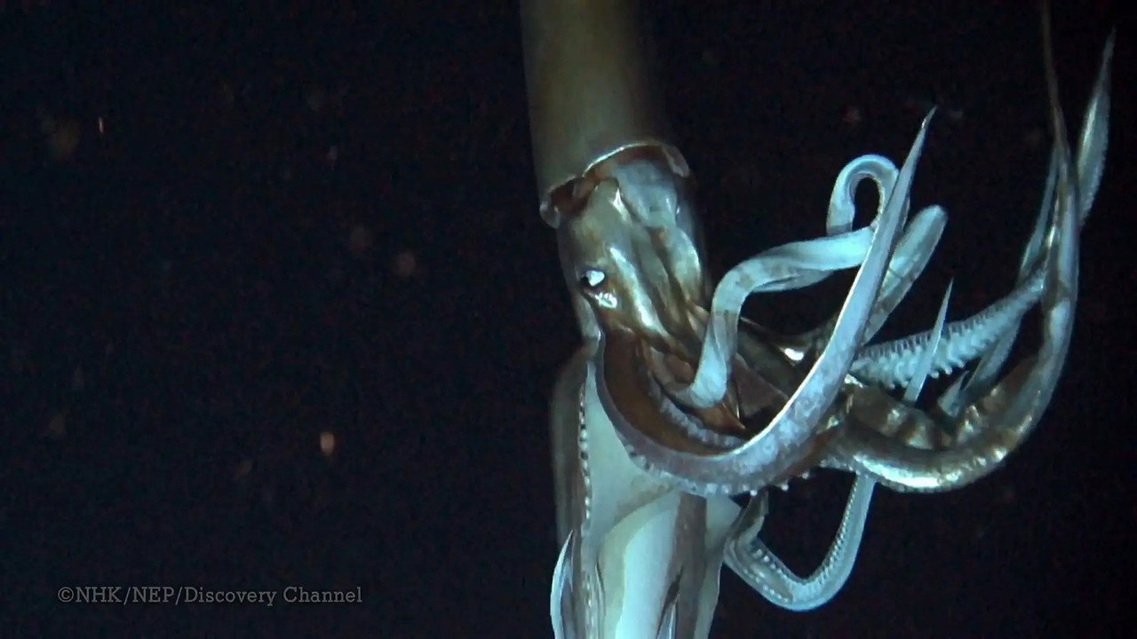 Deep Ocean