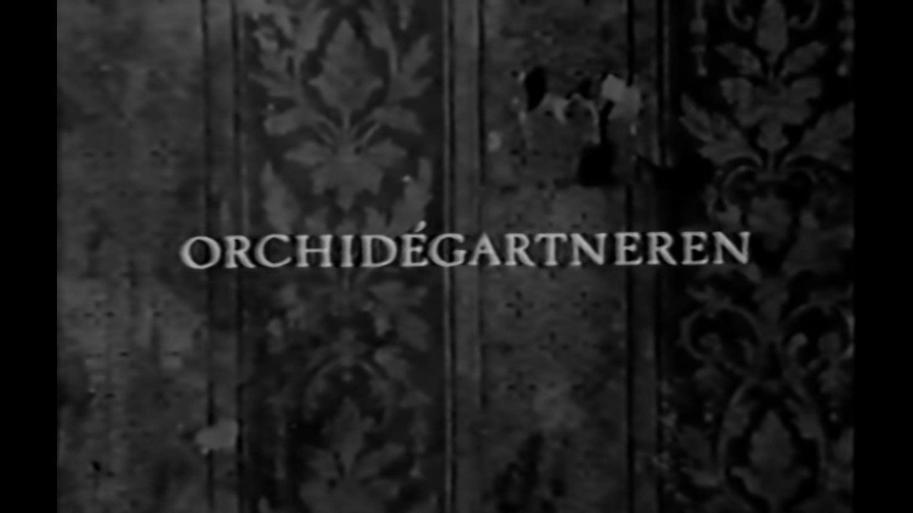 The Orchid Gardener
