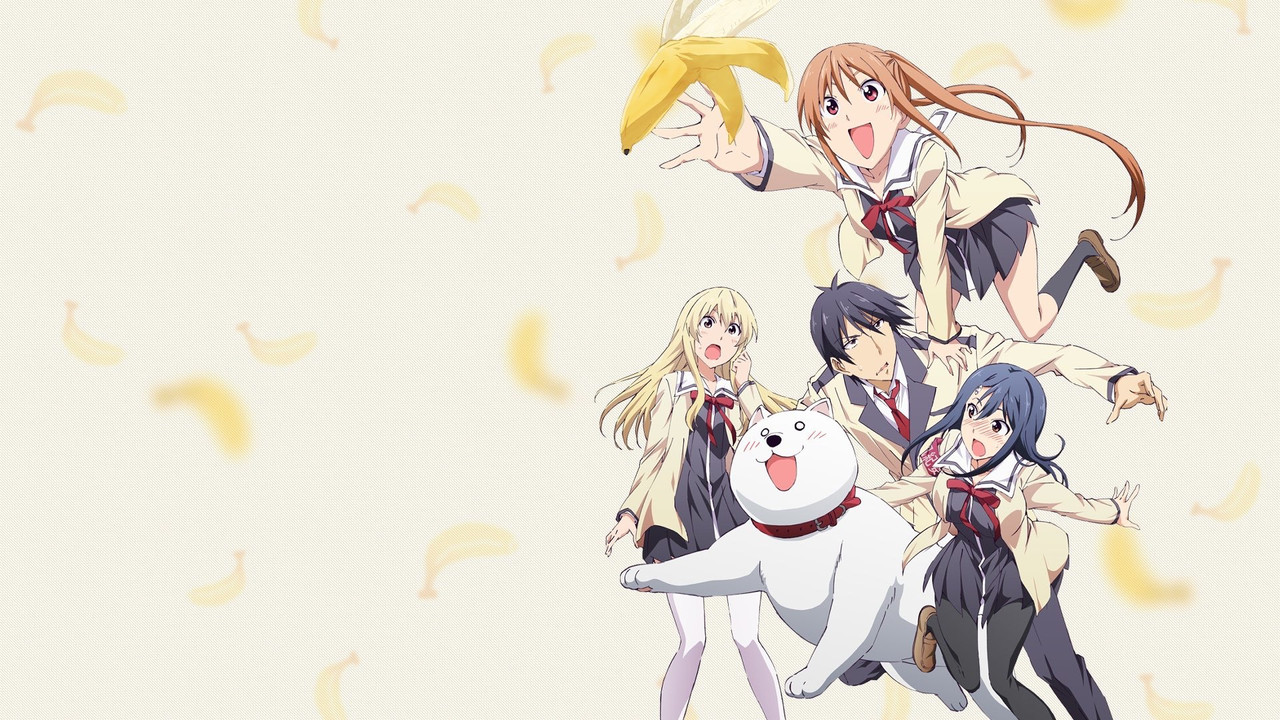 Aho Girl
