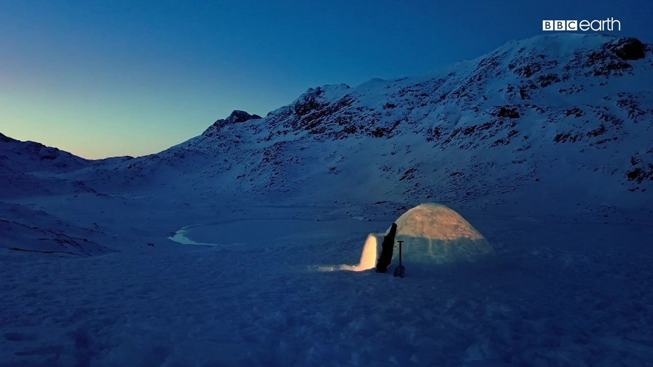 The Last Igloo