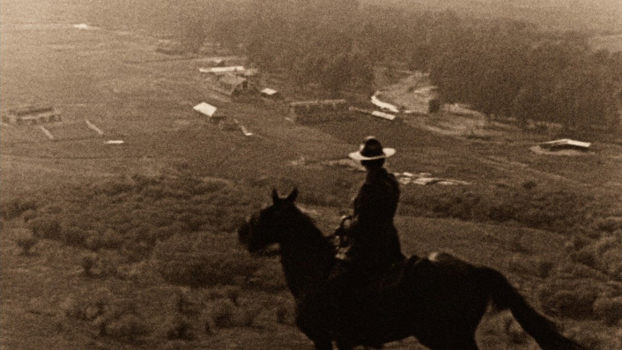 The Calgary Stampede