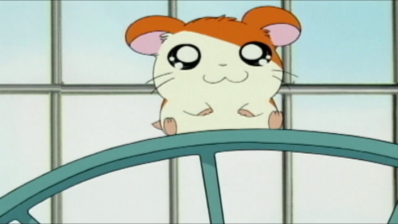 Tottoko Hamutaro